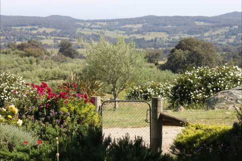 L'Oliveraie - Accommodation Mt Buller 1