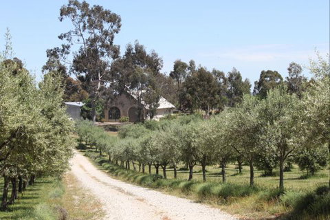 L'Oliveraie - Accommodation Mt Buller 2
