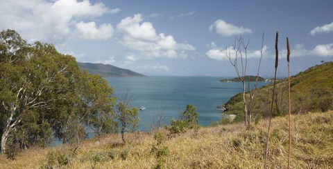 Molle Island National Park (Whitsundays National Park) Camping Ground - Accommodation Mt Buller 1