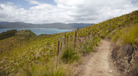 Molle Island National Park (Whitsundays National Park) Camping Ground - Accommodation Mt Buller 2