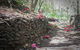 Mrs Simpson Cottage At Norala Garden - thumb 6