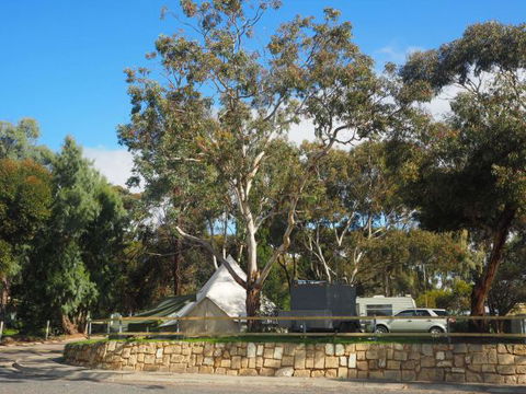 Murray Bridge Marina Camping And Caravan Park - Accommodation Mt Buller 3