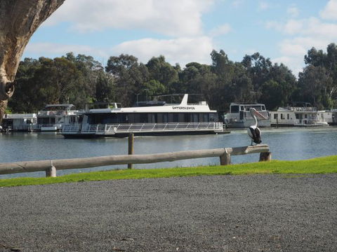 Murray Bridge Marina Camping And Caravan Park - Accommodation Mt Buller 6