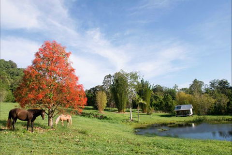 Nimbin Waterfall Retreat - Accommodation Mt Buller 1