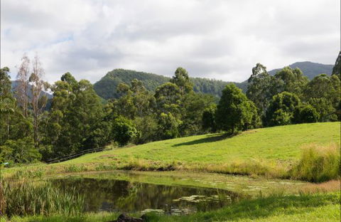 Nimbin Waterfall Retreat - Accommodation Mt Buller 3