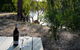 Paringa Grove Homestead - thumb 9