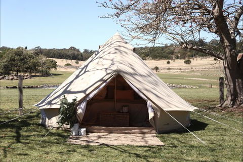 Pitch South Coast - Accommodation Mt Buller 2