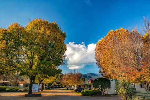 Porepunkah Bridge Holiday Park - Accommodation Mt Buller 3