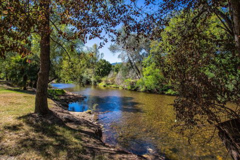 Porepunkah Bridge Holiday Park - Accommodation Mt Buller 5
