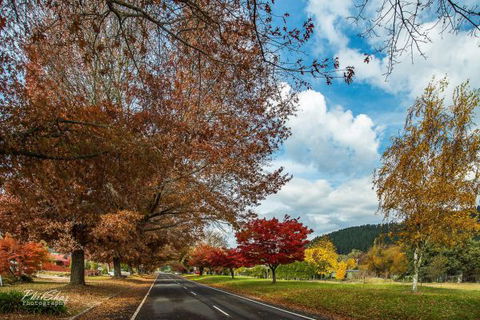 Porepunkah Bridge Holiday Park - Accommodation Mt Buller 6