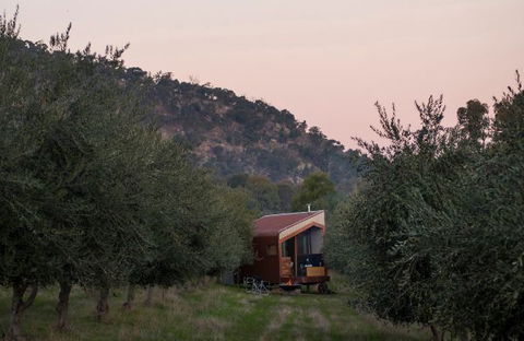 Shacky In The Olive Grove - Accommodation Mt Buller 0