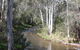 Stockyard Creek - thumb 2