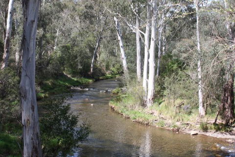 Stockyard Creek - Accommodation Mt Buller 2