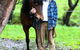 Stockyard Creek - thumb 4