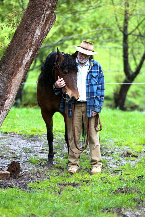 Stockyard Creek - Accommodation Mt Buller 4