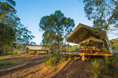 Tanja Lagoon Camp - Accommodation Mt Buller 0
