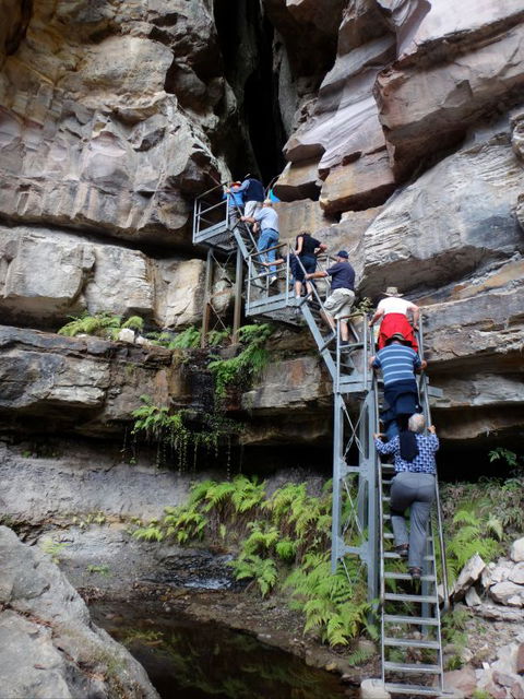 Takarakka Bush Resort Carnarvon Gorge - Accommodation Mt Buller 0