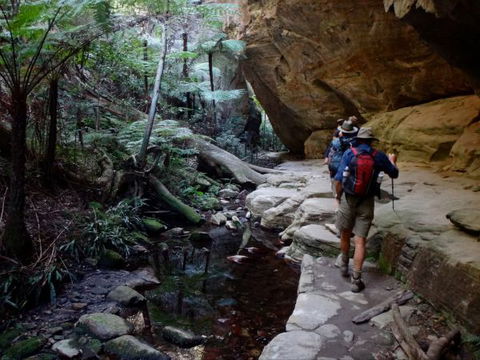 Takarakka Bush Resort Carnarvon Gorge - Accommodation Mt Buller 6