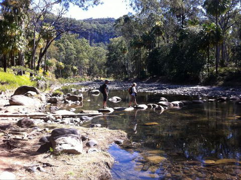 Takarakka Bush Resort Carnarvon Gorge - Accommodation Mt Buller 9