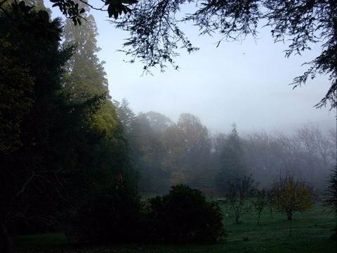 The Pear Walk - Accommodation Mt Buller 2