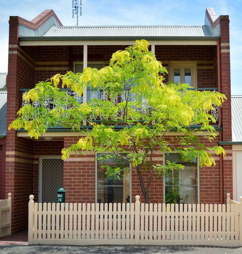Turner Terrace - Accommodation Mt Buller 0