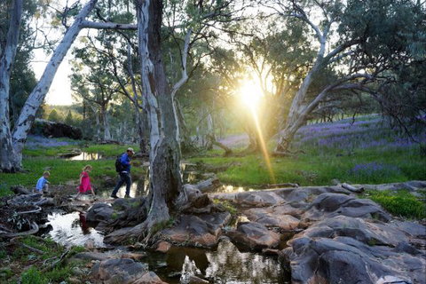 Upalinna Station - Accommodation Mt Buller 3