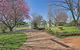 Willowood - thumb 3