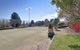 Willowood - thumb 5