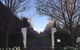 Willowood - thumb 7