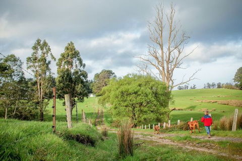 Wines For Joanie Cottage - Accommodation Mt Buller 6