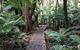 Woodland Mirth Holiday Retreat - thumb 8