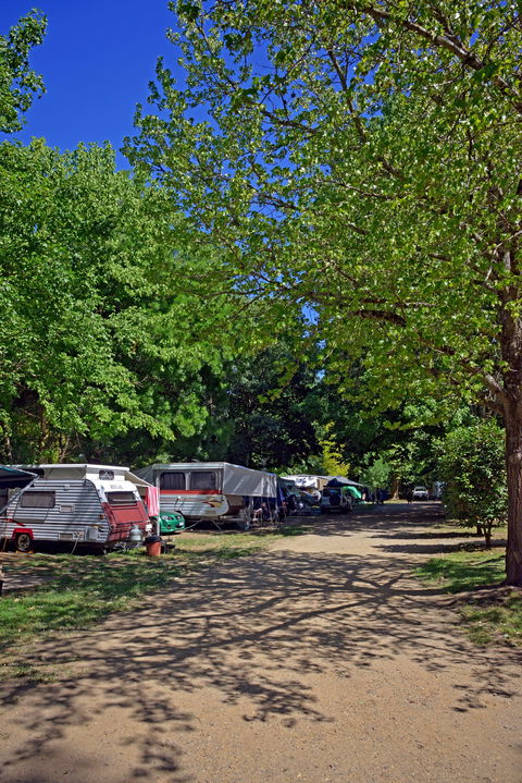 Ardern's Caravan Park Myrtleford - Accommodation Mt Buller 1