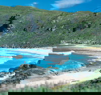 Banksia Camp at D'Entrecasteaux National Park - Accommodation Mt Buller