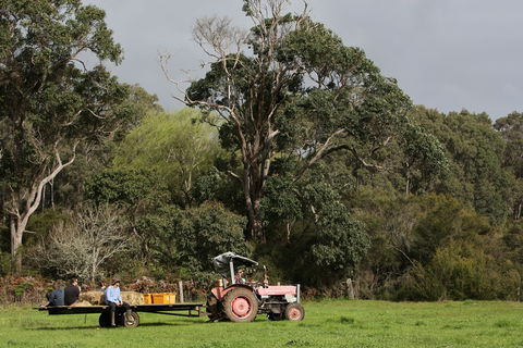 Boronia Farm - Accommodation Mt Buller 0