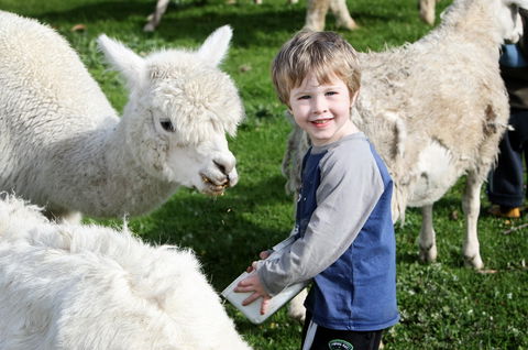 Boronia Farm - Accommodation Mt Buller 2