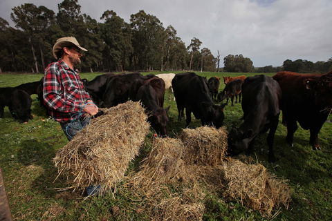 Boronia Farm - Accommodation Mt Buller 5