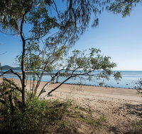 Cape Hillsborough National Park camping - Accommodation Mt Buller