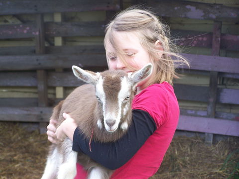 Eden Orchard And Farmstay - Accommodation Mt Buller 3