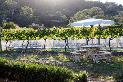 Every Man And His Dog Vineyard - Accommodation Mt Buller 1