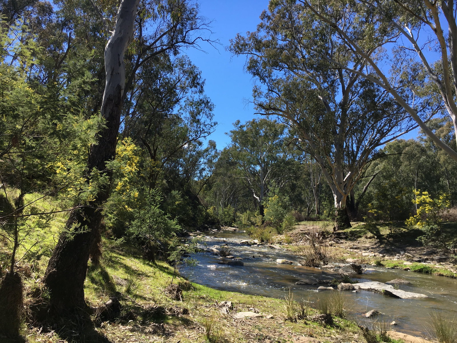Mount Adrah NSW Accommodation Mt Buller