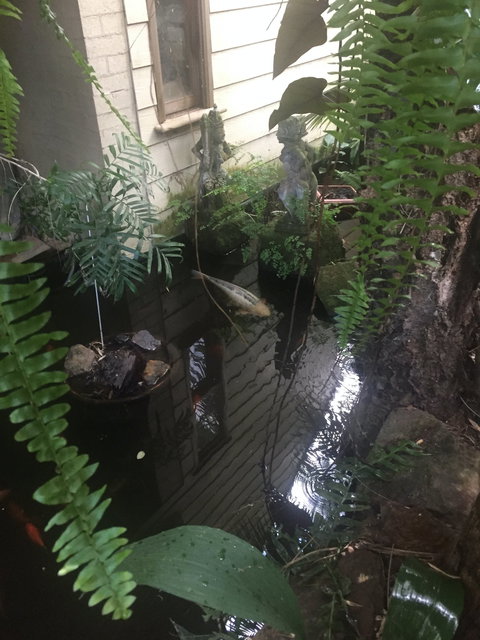 HJapartments - Accommodation Mt Buller 4