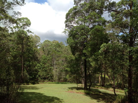 Maleny Country Cottages - Accommodation Mt Buller 2