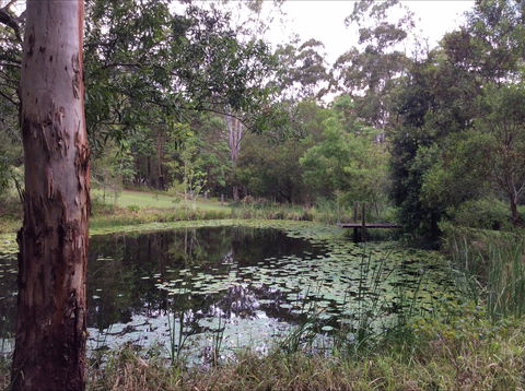 Maleny Country Cottages - Accommodation Mt Buller 3