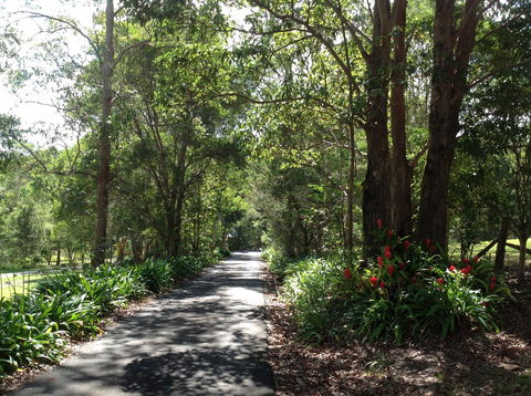 Maleny Country Cottages - Accommodation Mt Buller 8