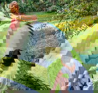 Warrabah campground and picnic area - Accommodation Mt Buller