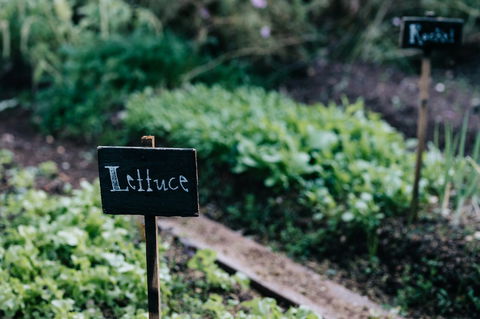 Acre Of Roses - Accommodation Mt Buller 9