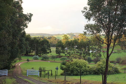 Blue House Bed And Breakfast - Accommodation Mt Buller 2