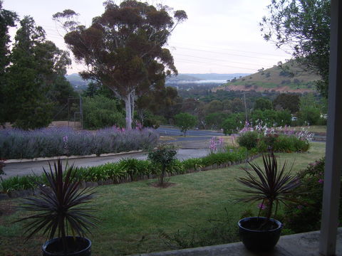 Garden Motor Inn (Golden Chain) - Accommodation Mt Buller 3