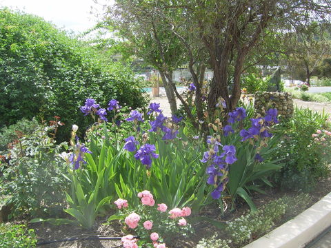 Garden Motor Inn (Golden Chain) - Accommodation Mt Buller 7