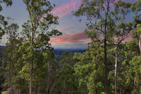 Gold Coast Tree Houses - Accommodation Mt Buller 2